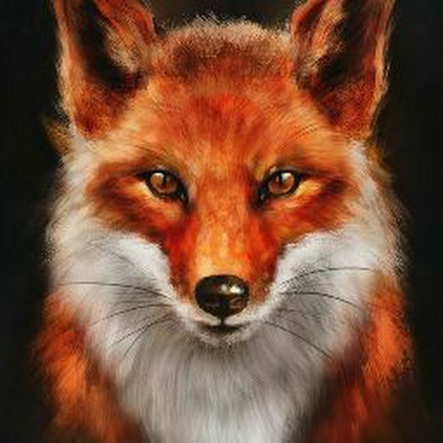 Морда лисы на аву