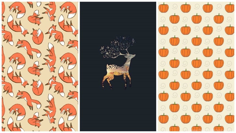 Обои в стиле лиса