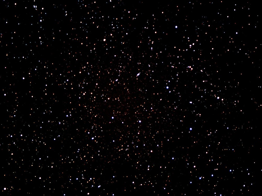 Белый фон в черную крапинку