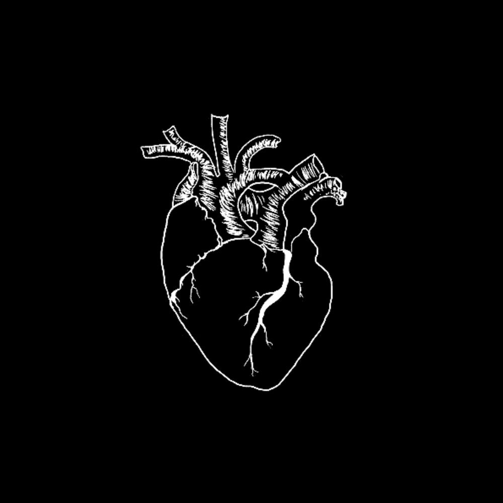 Человеческое сердце на черном фоне