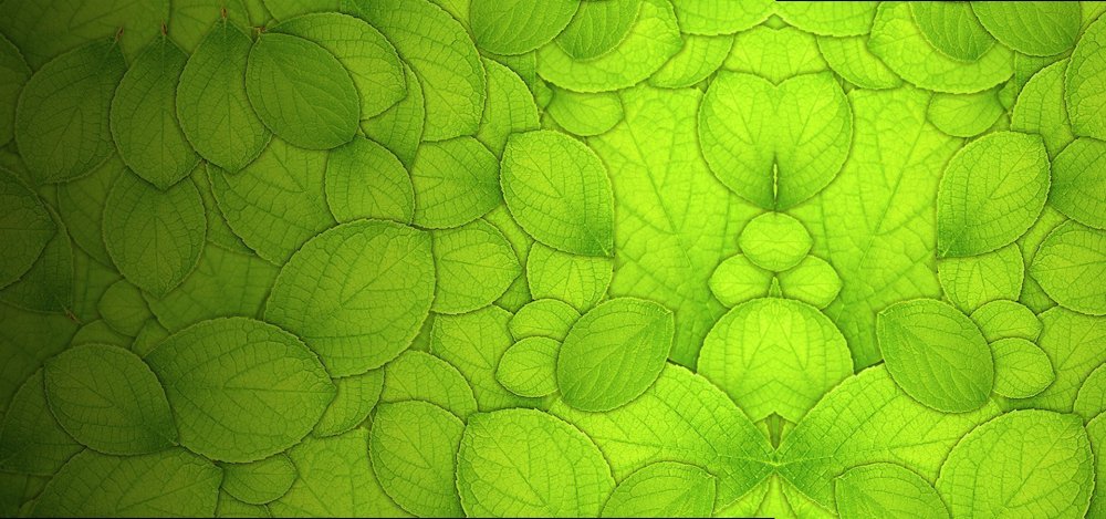 Текстура листья для фотошопа