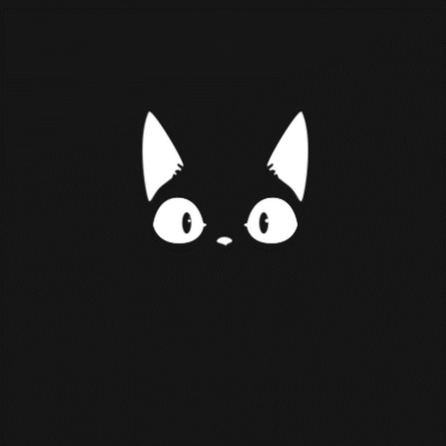 Котенок на черном фоне