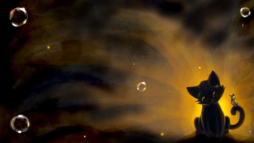 Кошка на темном фоне