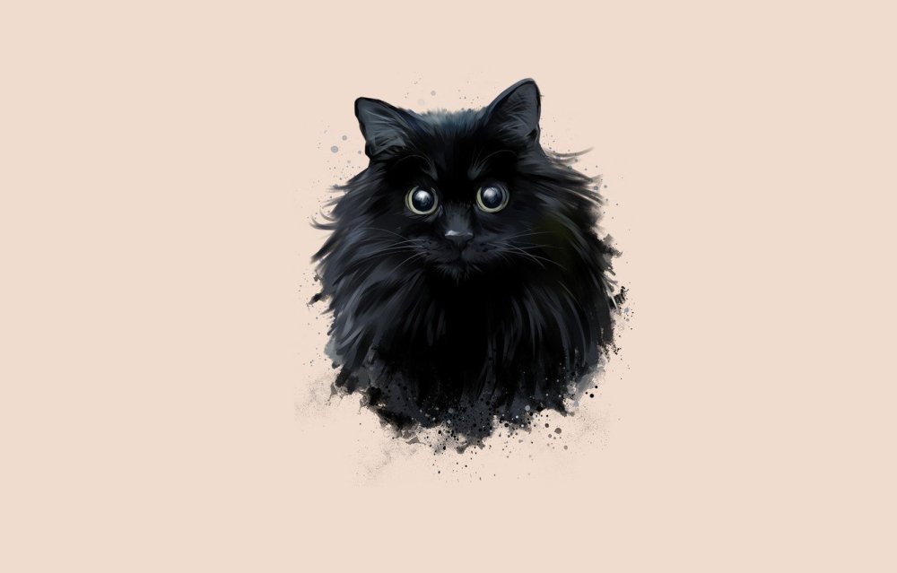 Кот Минимализм