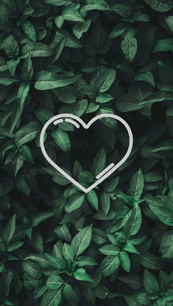 Красивый фон для сторис