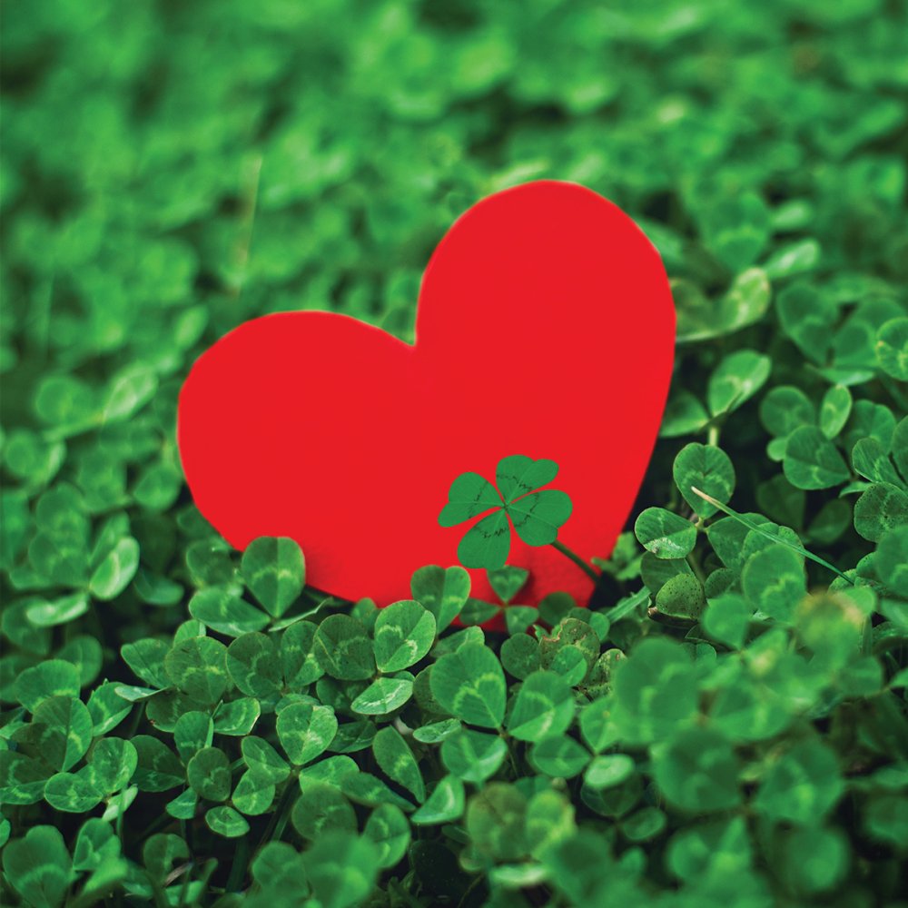 Красное сердце в зелени