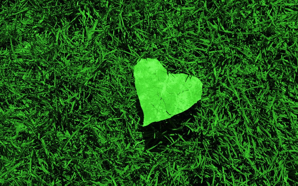 Сердечко зеленого цвета