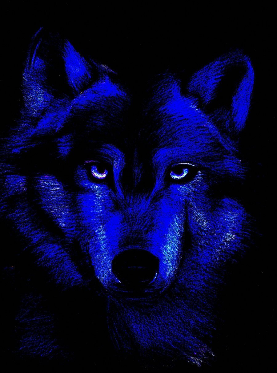 Синий волк