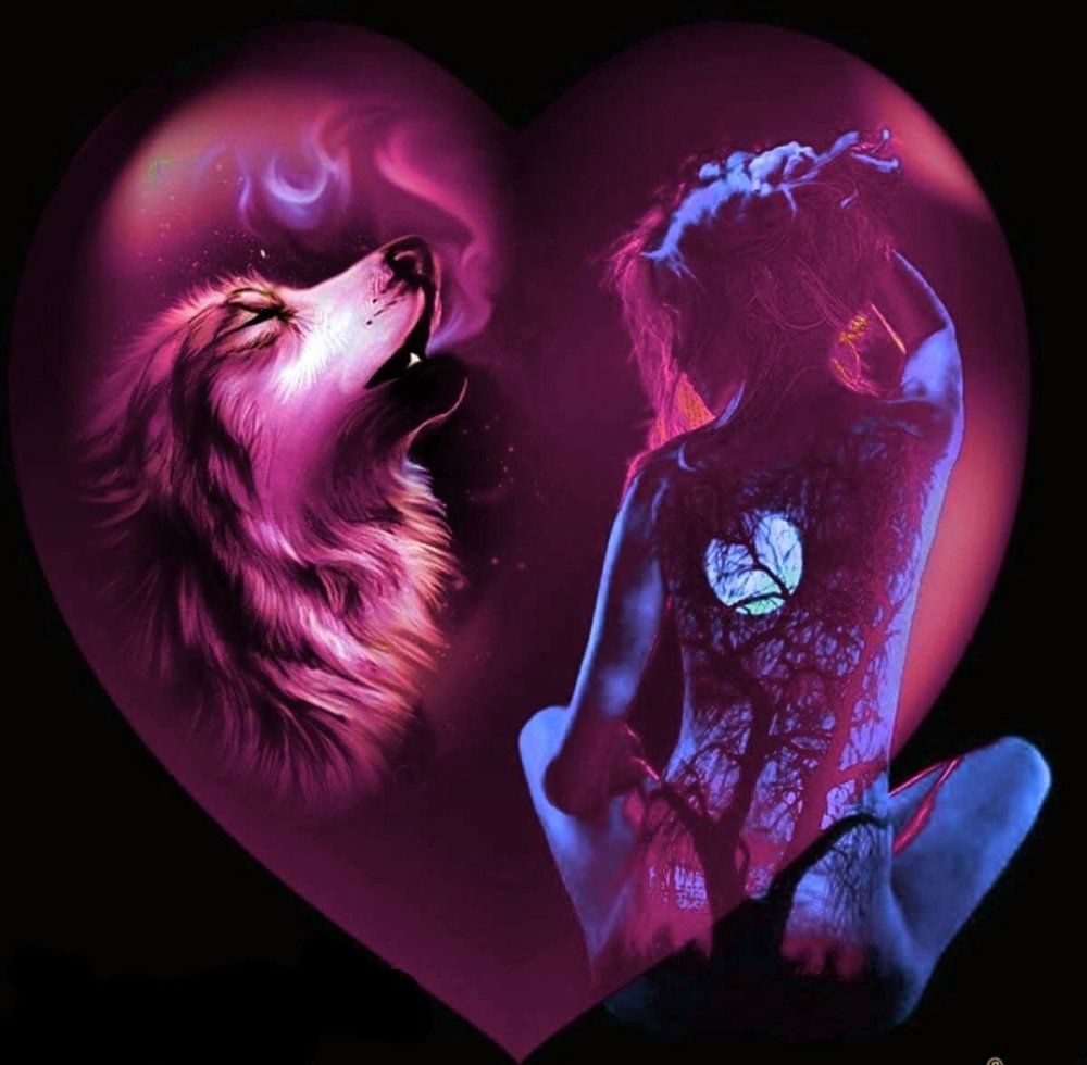 Волчица и девушка