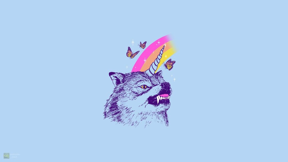 Енот арт Минимализм