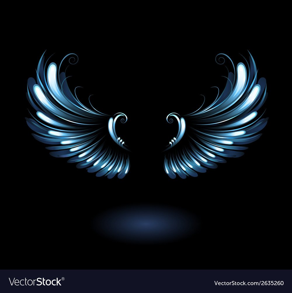 Колючая проволока на черном фоне