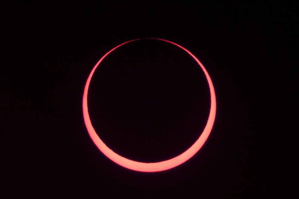 Крылья ангела с нимбом вектор