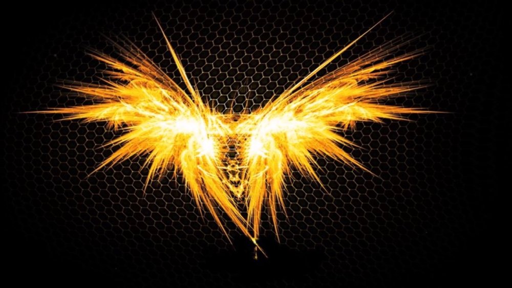 Ангельские Крылья на черном фоне