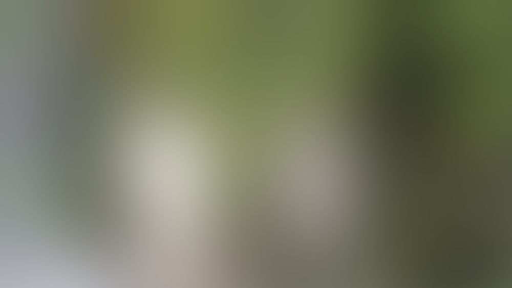 Размытие на прозрачном фоне