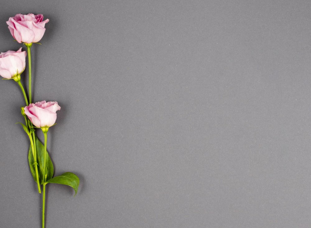 Цветы на сером фоне
