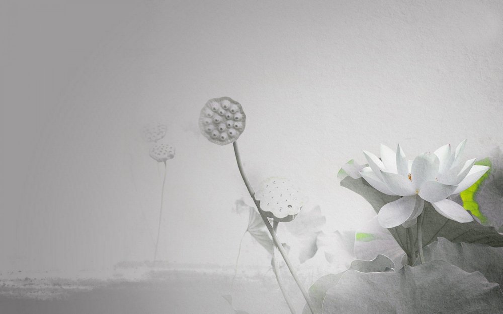 Минимализм в цветах