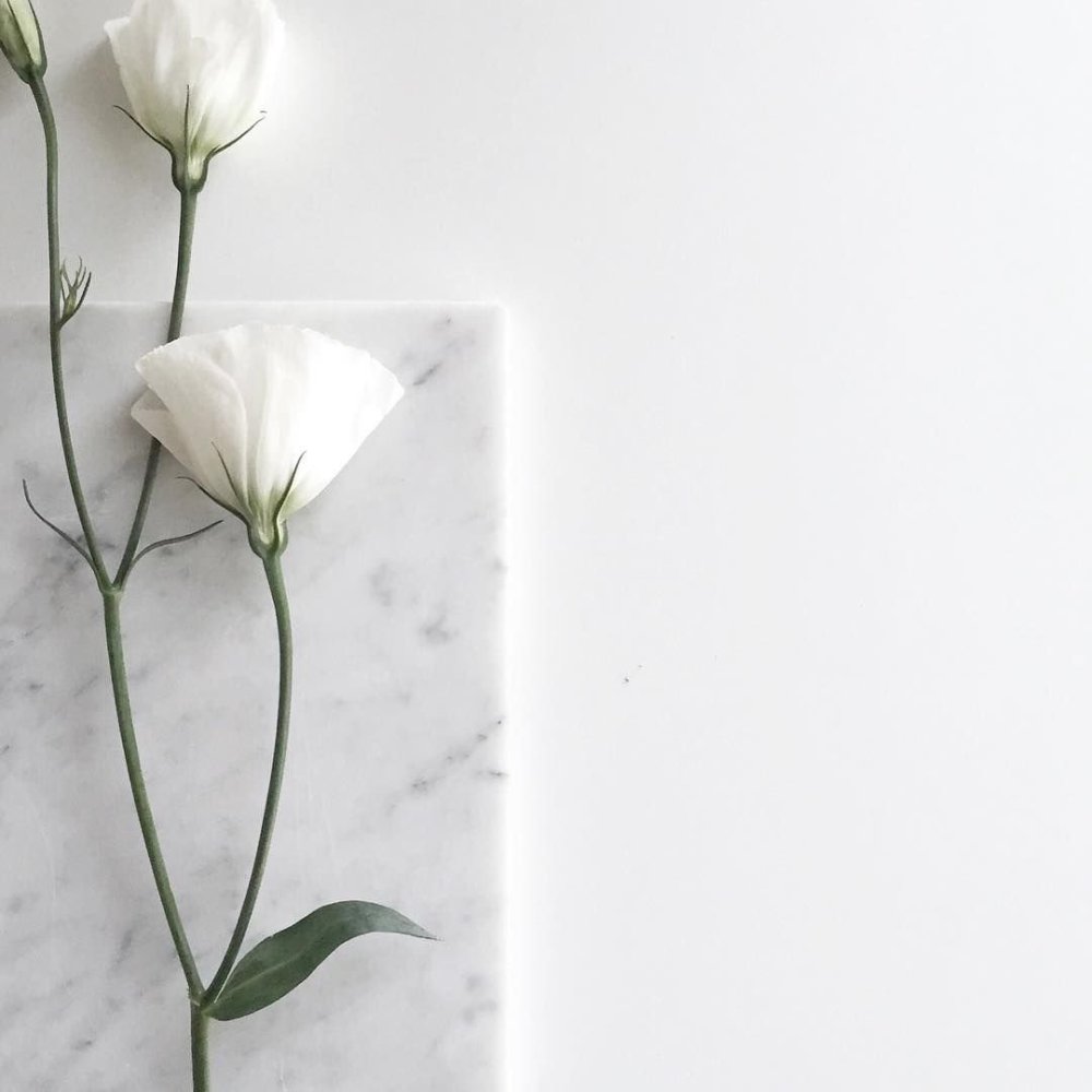 Цветы Минимализм