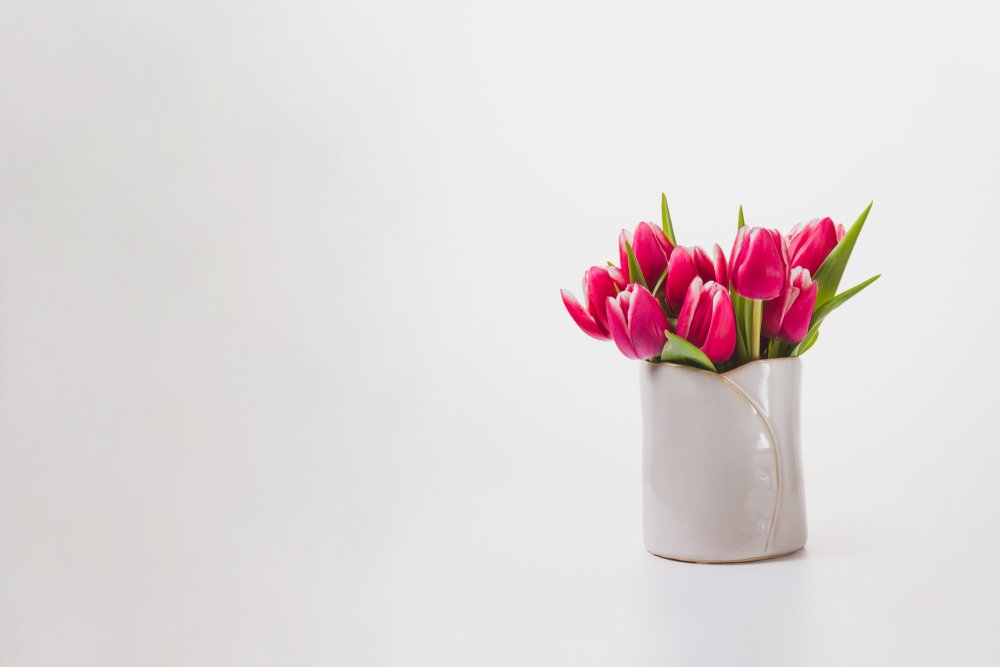 Тюльпаны Минимализм