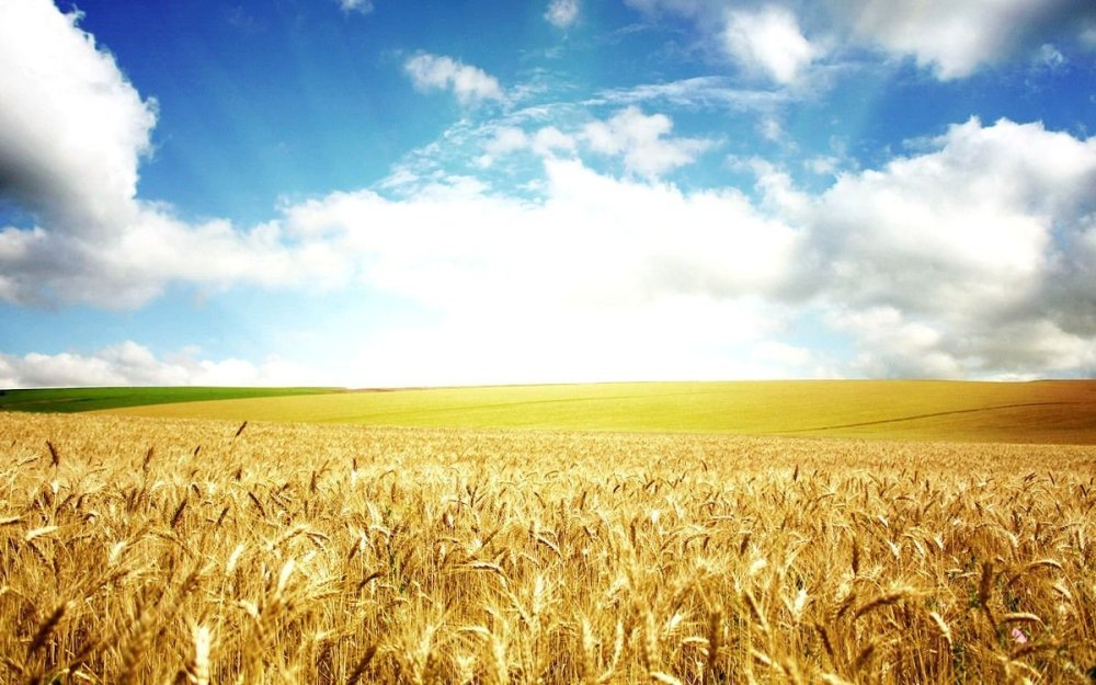 Природные зоны Кубани