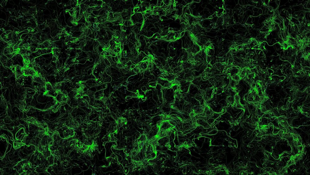 Темно зеленый фон