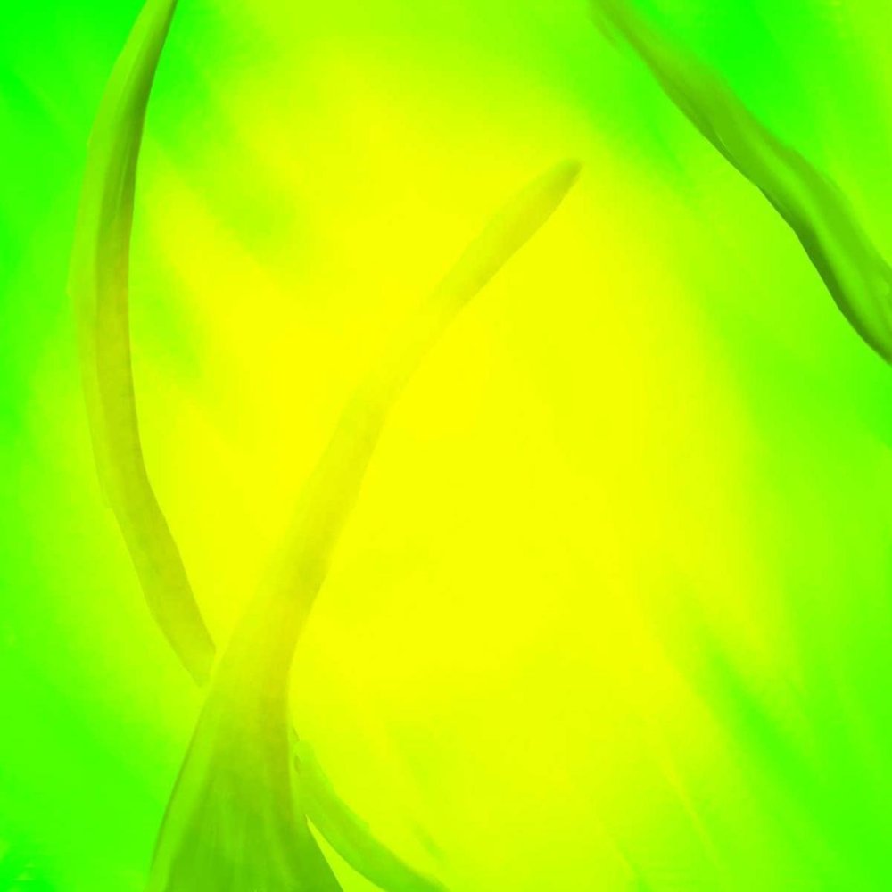 Кислотно желтый цвет