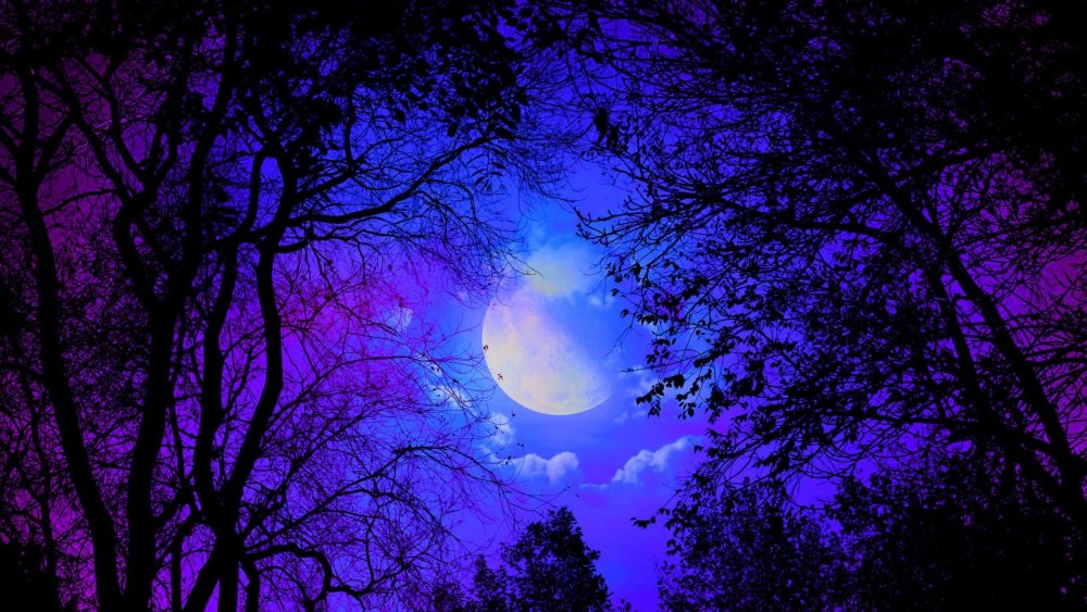 Ночь в фиолетовых тонах