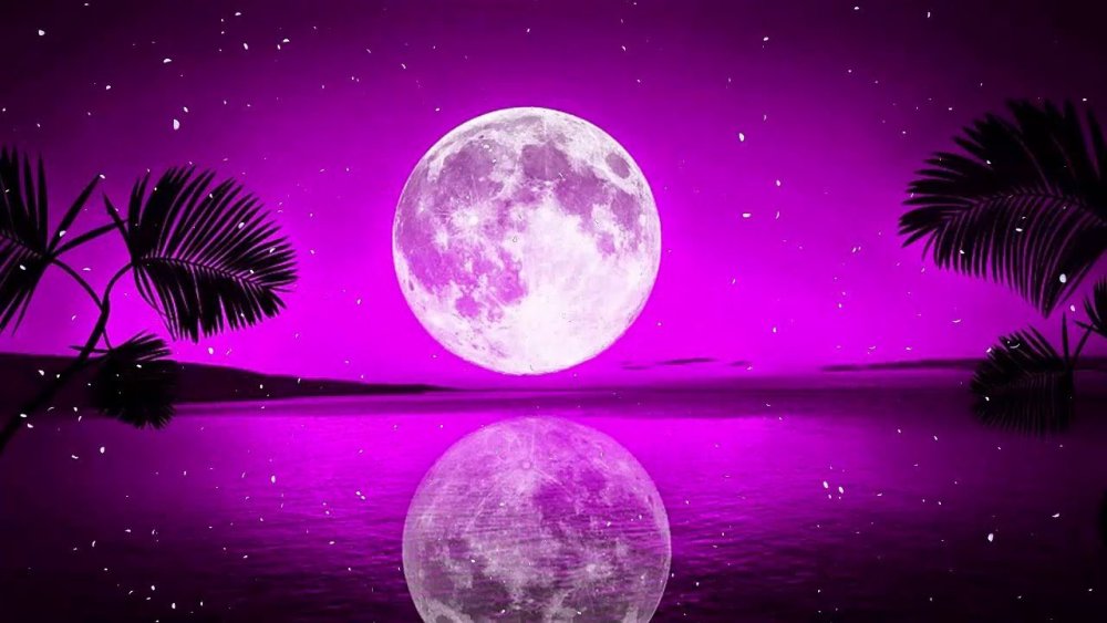Фиолетовая ночь