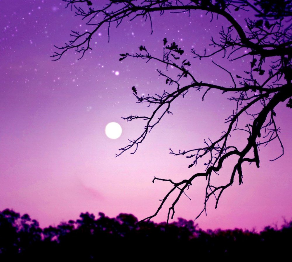 Фиолетовая ночь