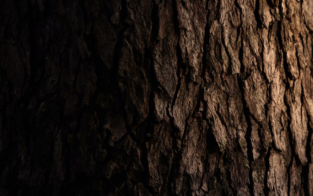 Темное дерево