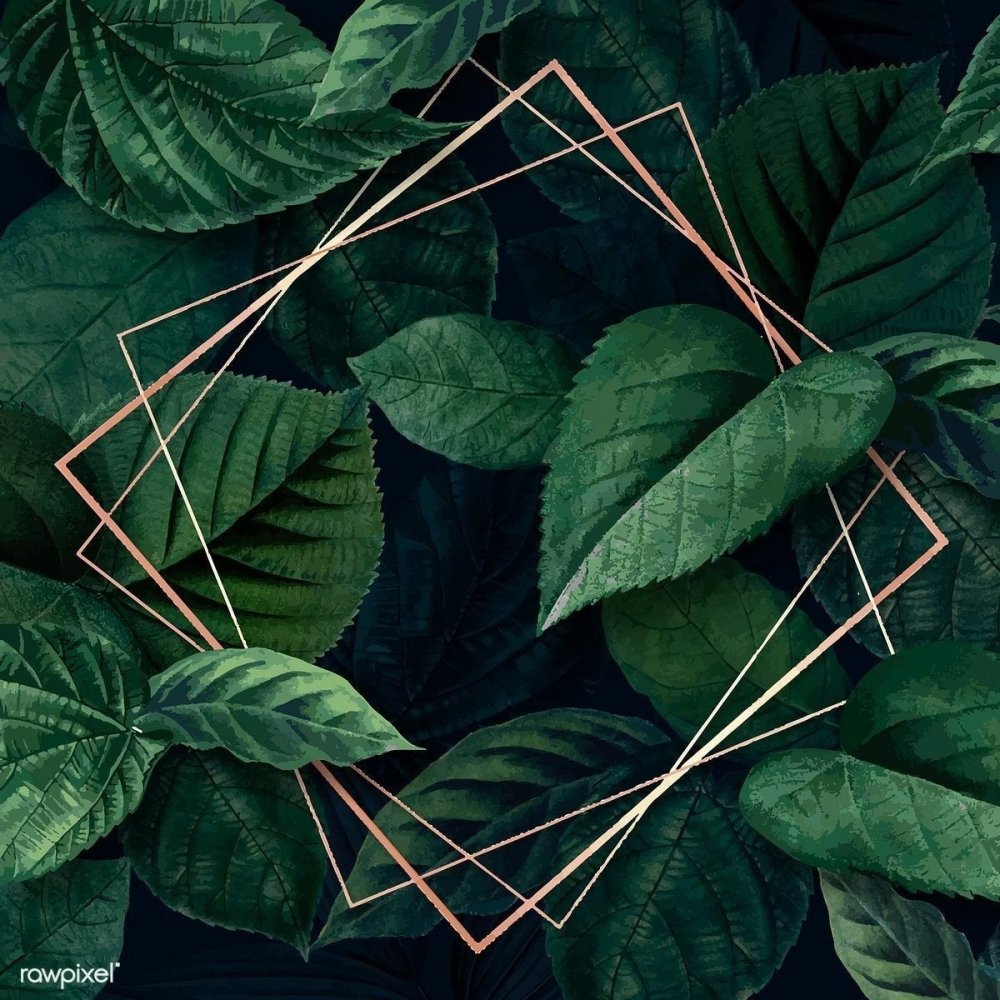 Зелень Эстетика