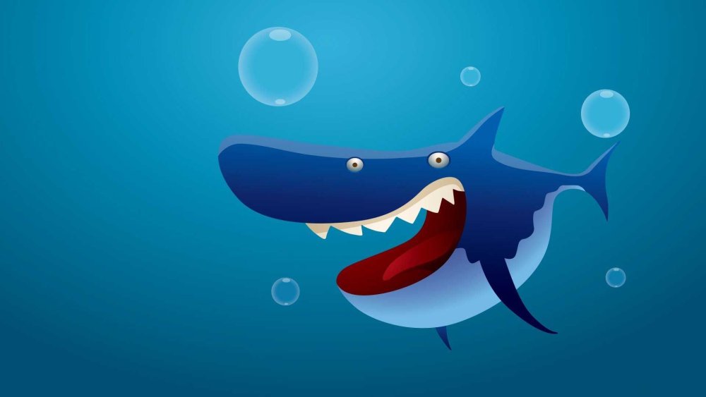 Акула вид сверху