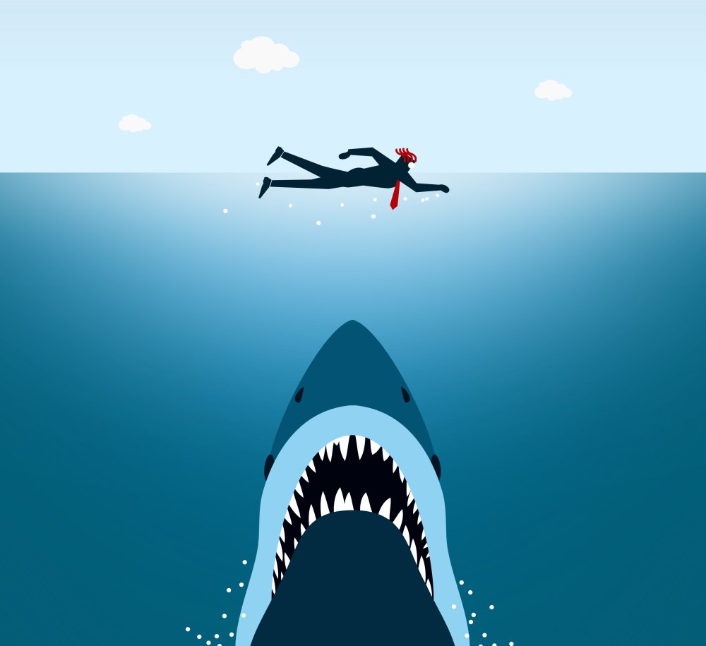 Белая акула обои на рабочий стол