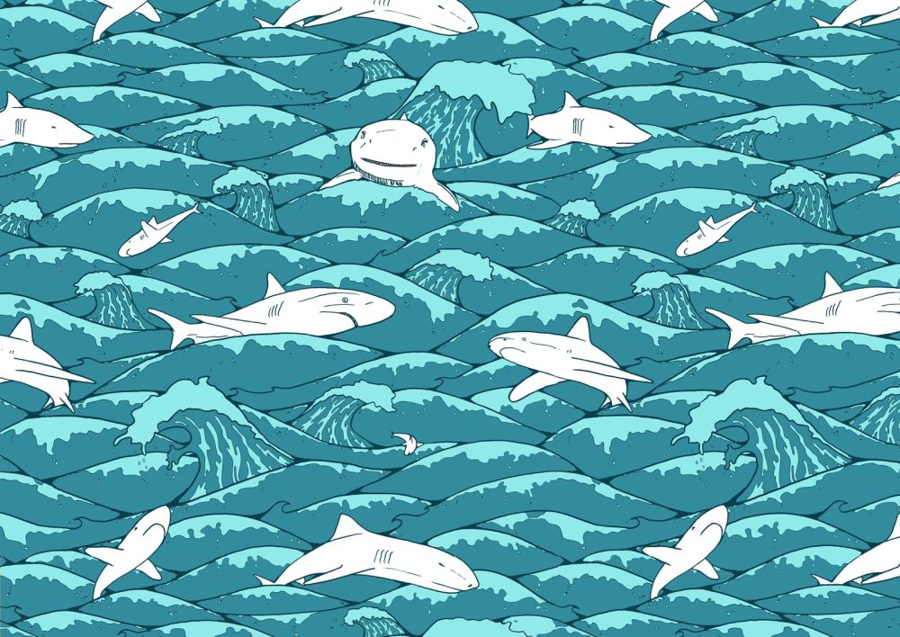 Акула HD обои