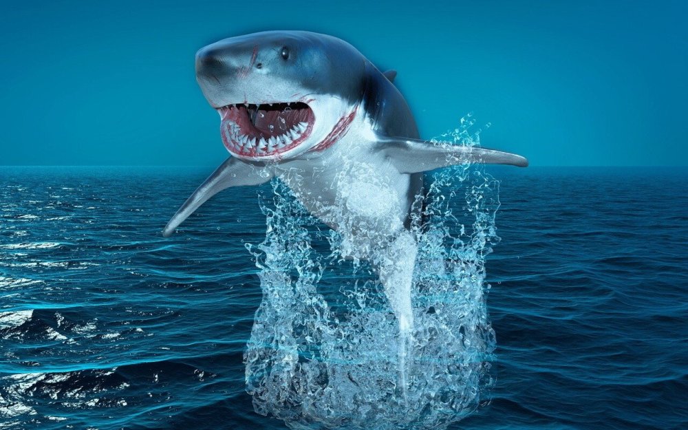 Акула силуэт