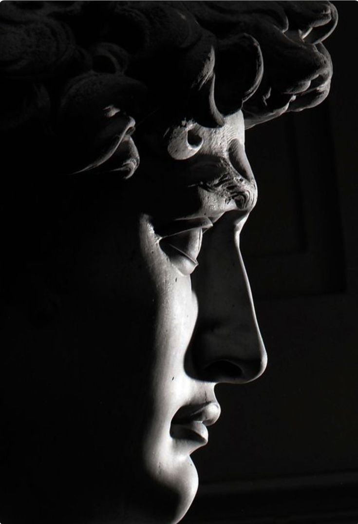 Давид Микеланджело арт черно