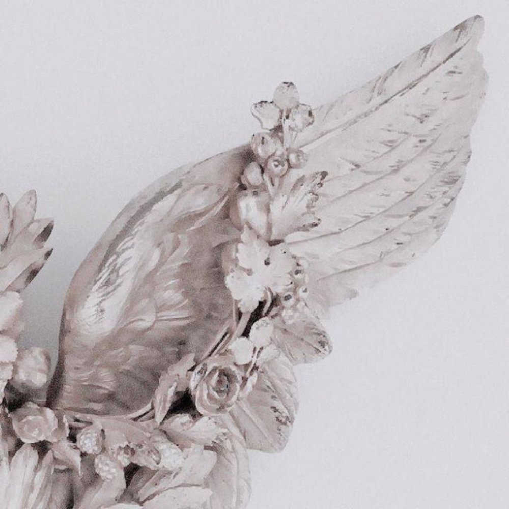 Крылья Эстетика