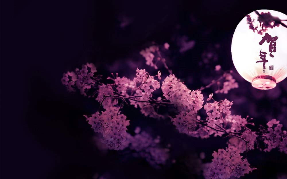 Сакура на черном фоне