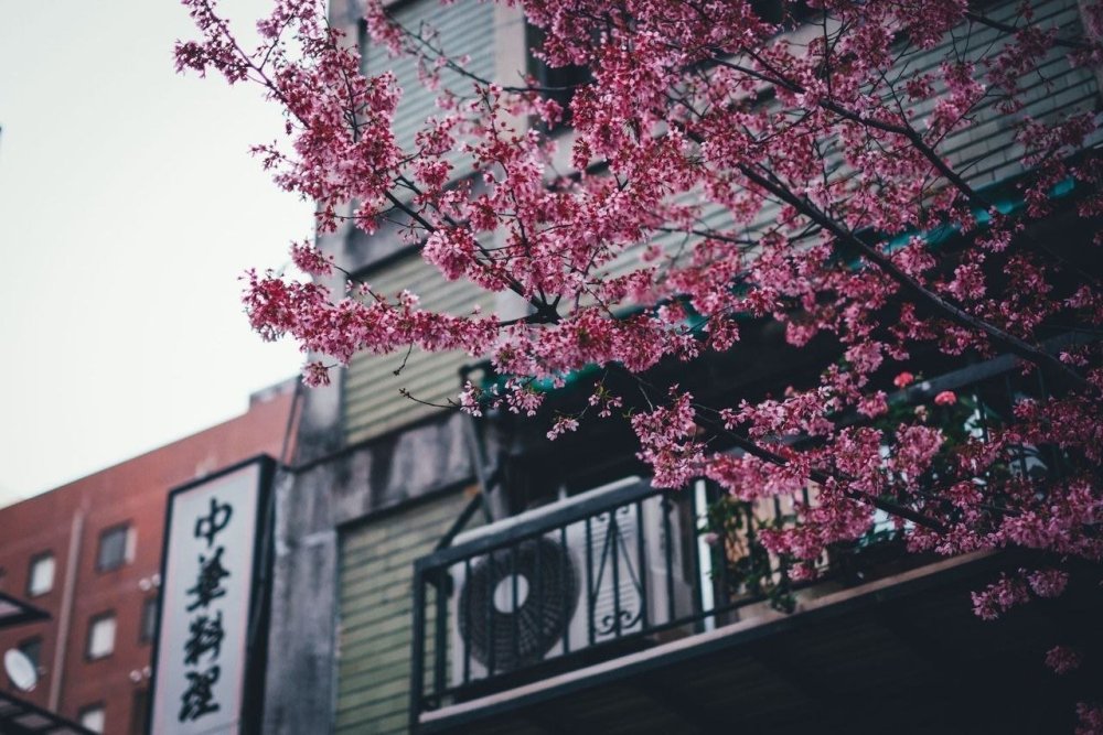 Япония Эстетика Токио