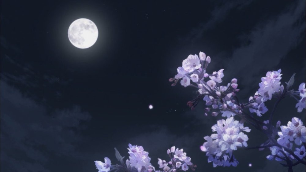 Ночь Луна Сакура