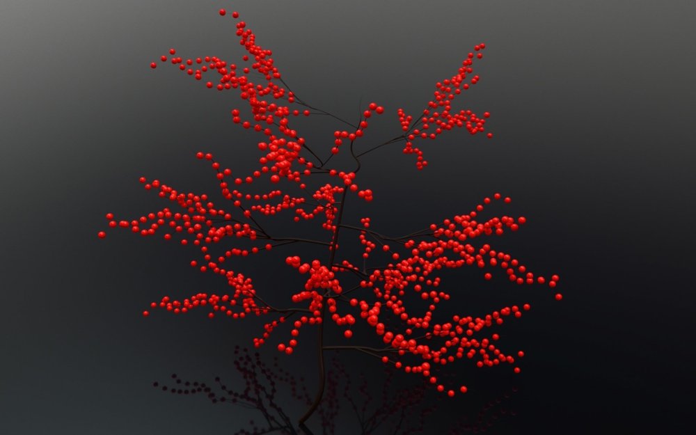 Ветка с красными ягодами