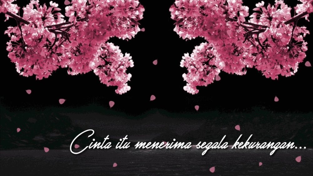 Лепесток Сакуры