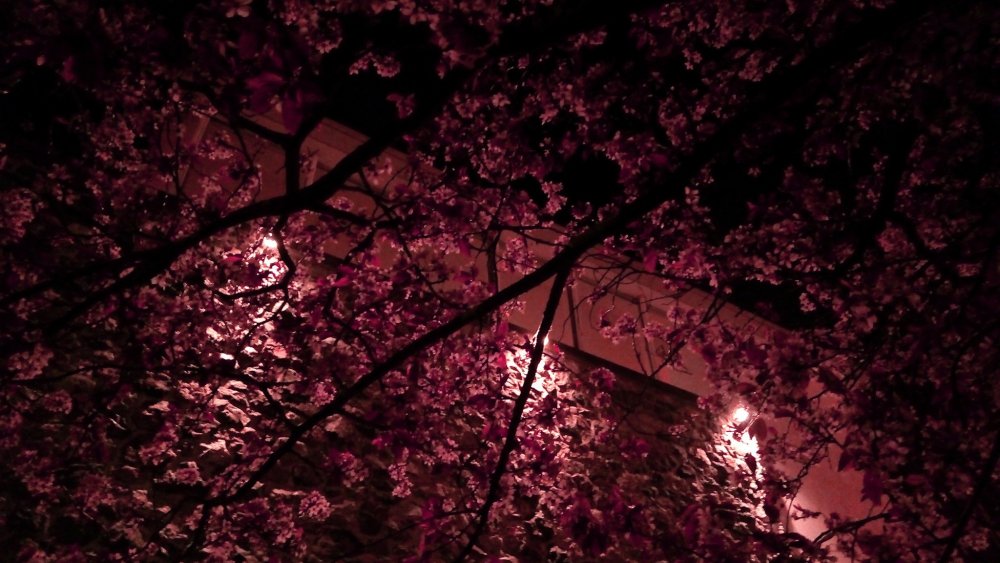 Эстетика ночи