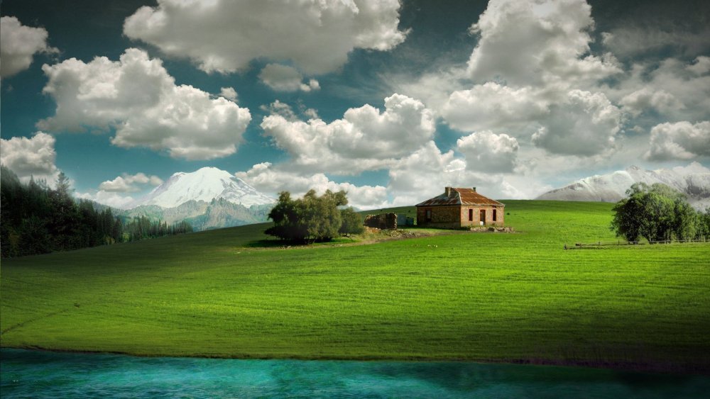 Заставка безмятежность