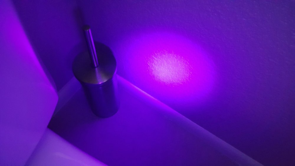 Неоновый фиолетовый цвет