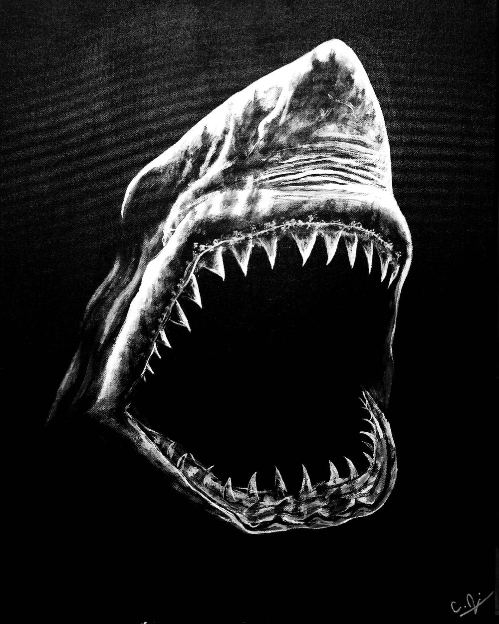 Заставка на рабочий стол акула