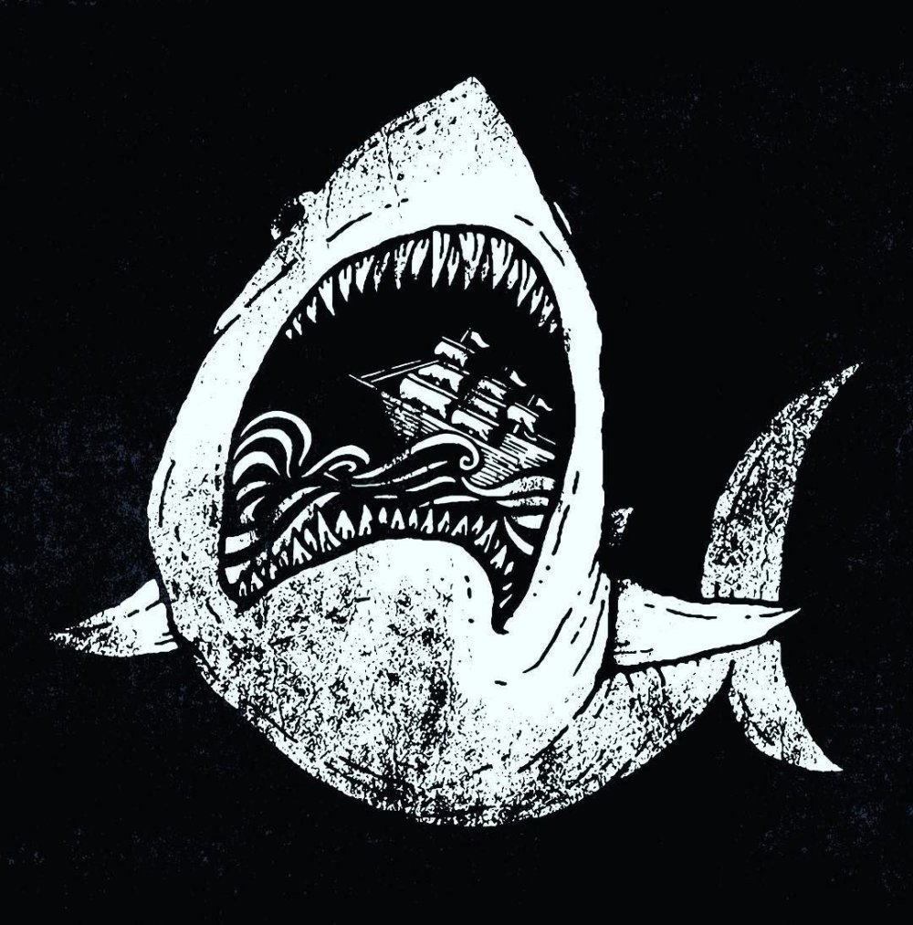 Акула на черном фоне