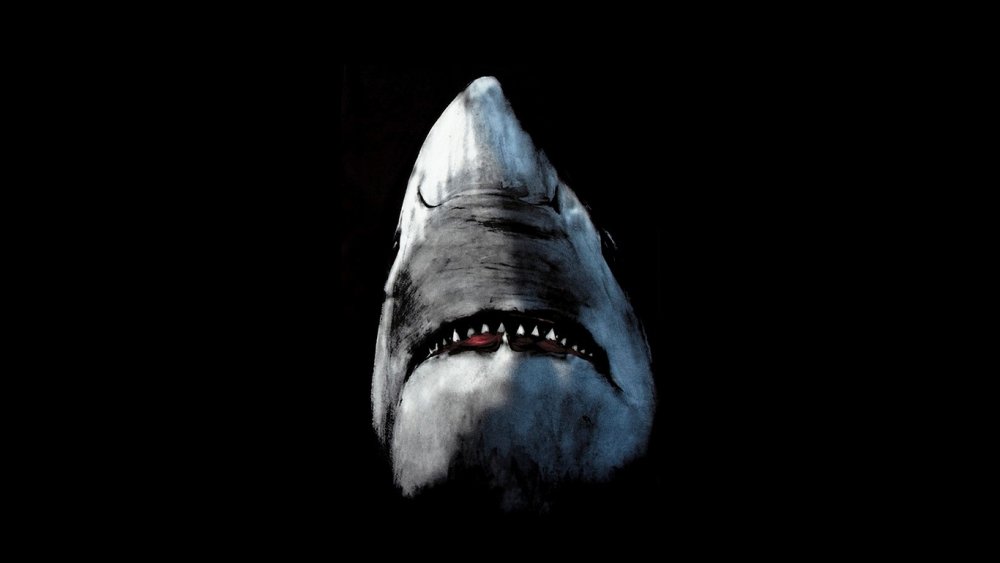 Акула на темном фоне