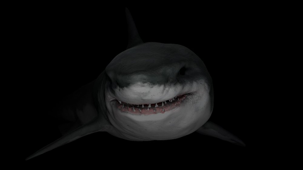 Акула фон