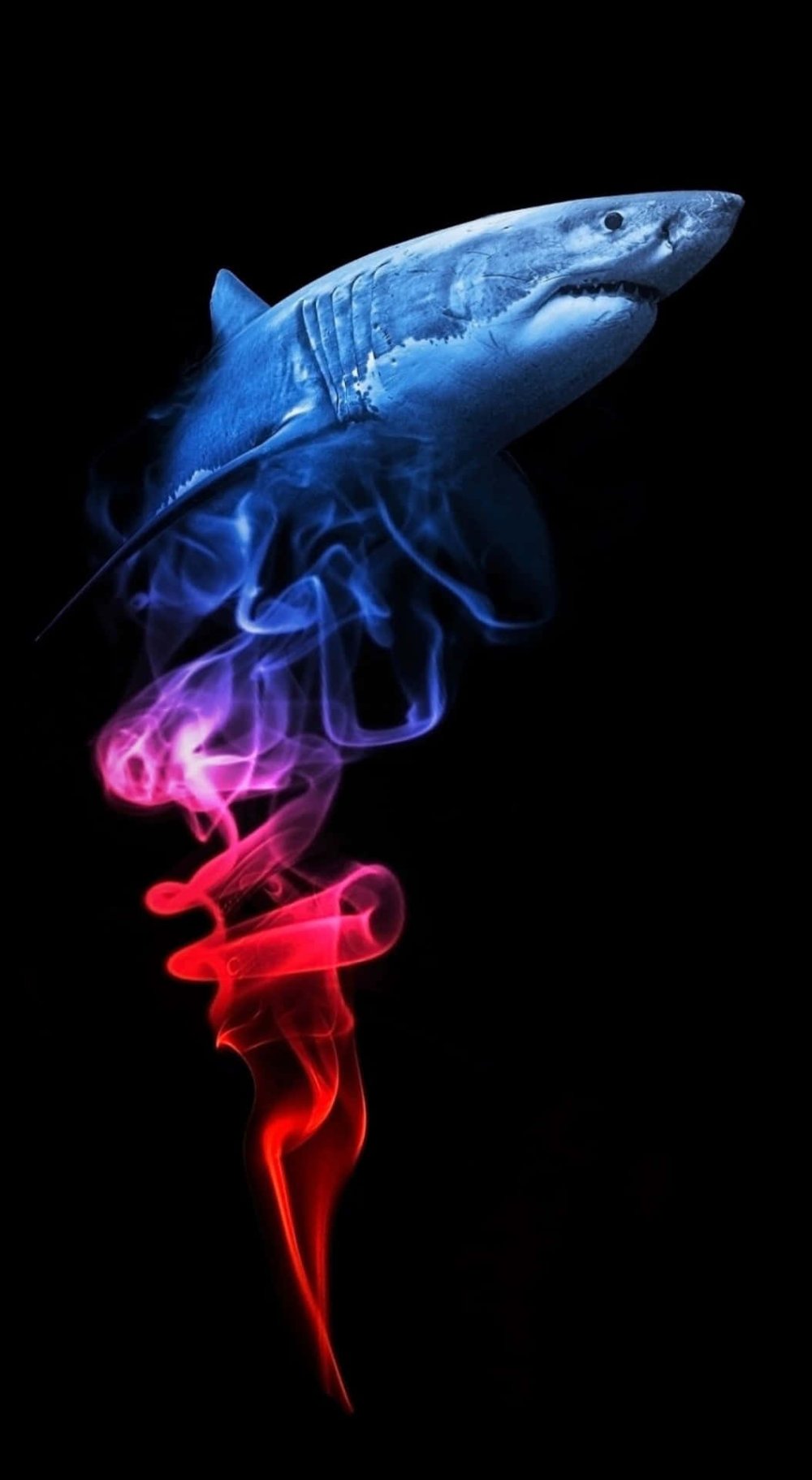 Челюсть акулы Графика