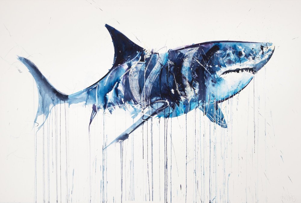 Акула Минимализм